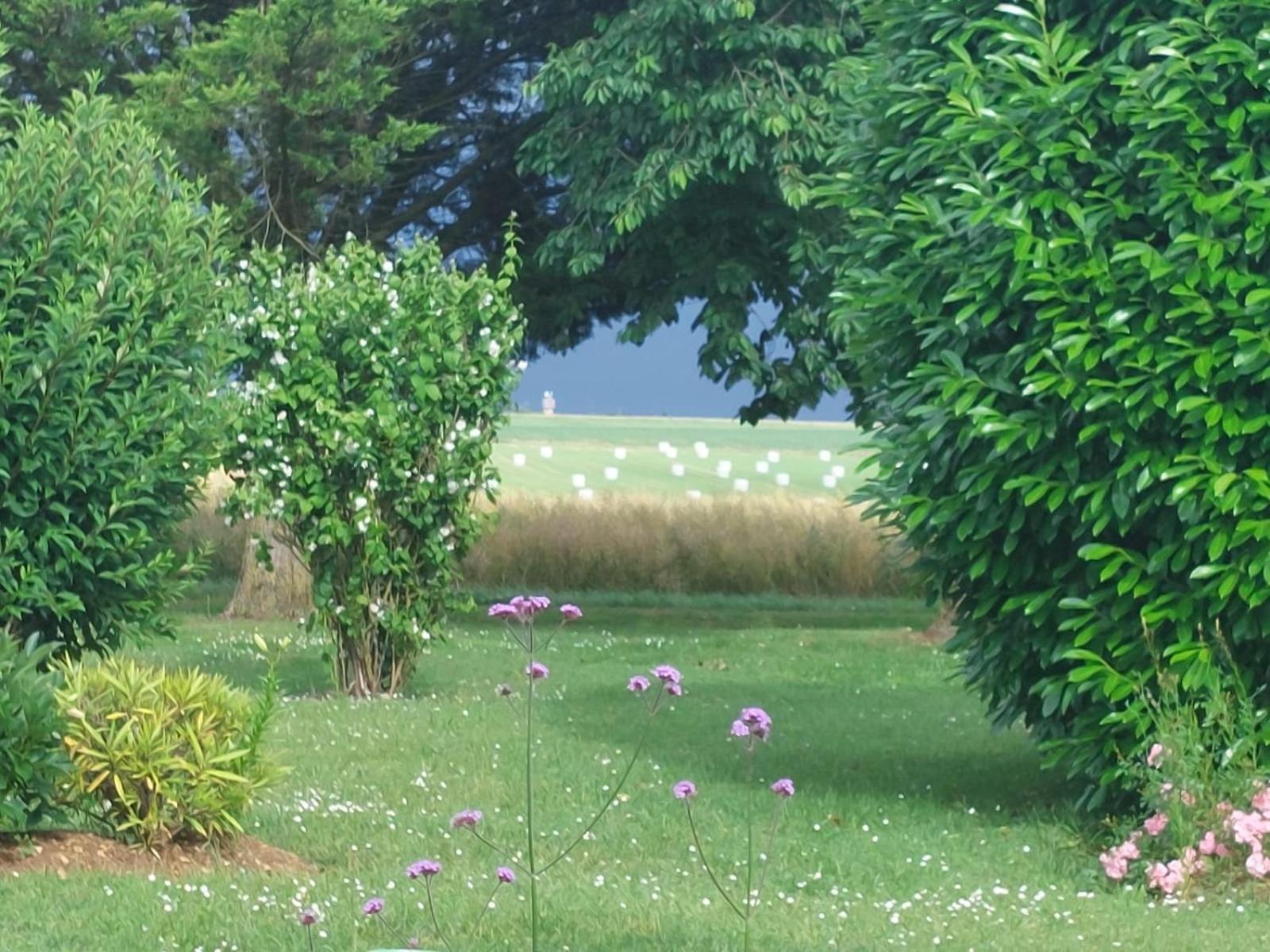 Neuville-du-PoitouLagalerne住宿加早餐旅馆 外观 照片